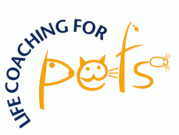 Life coaching for Pets! All Pets Vet Care new initiative to make things easier for you and your pet!